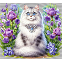 Animal Integration-DW 1921